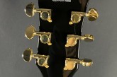 Sire H7 Larry Carlton-3.jpg